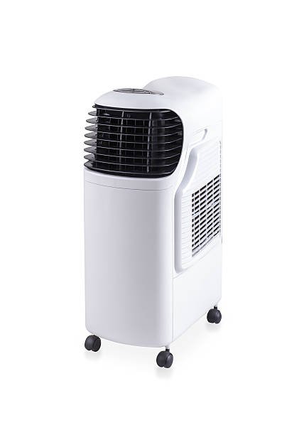 Ducted AC Repair Service